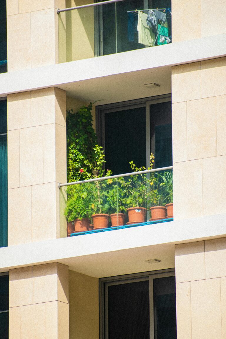Que planter en mai quand on débute (à part des tomates — on a déjà donné)